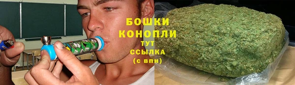 ГАЛЛЮЦИНОГЕННЫЕ ГРИБЫ Беломорск