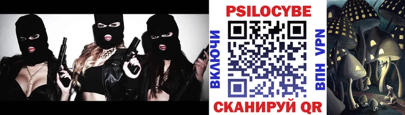 наркошоп  Чегем  Галлюциногенные грибы мухоморы 